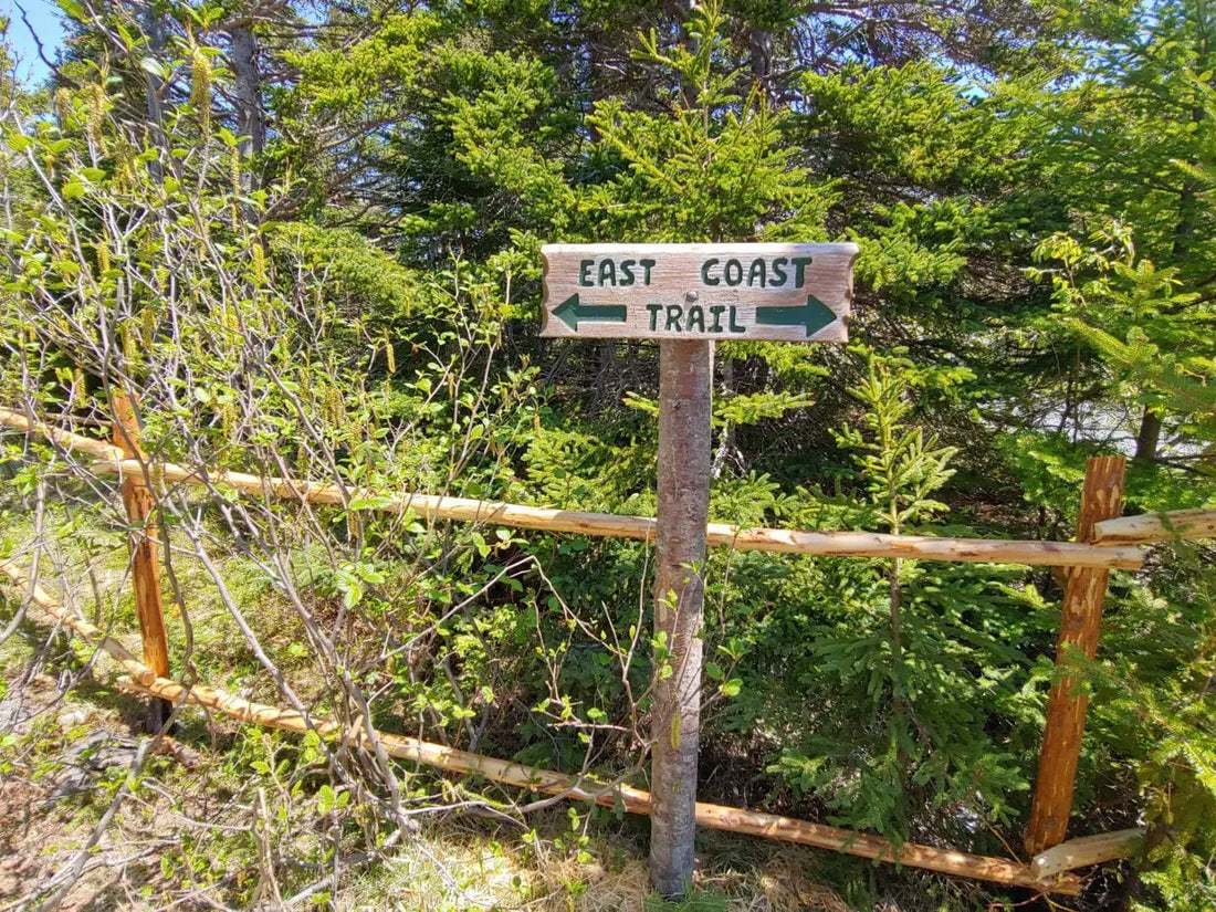 Traditional Newfoundland Fences