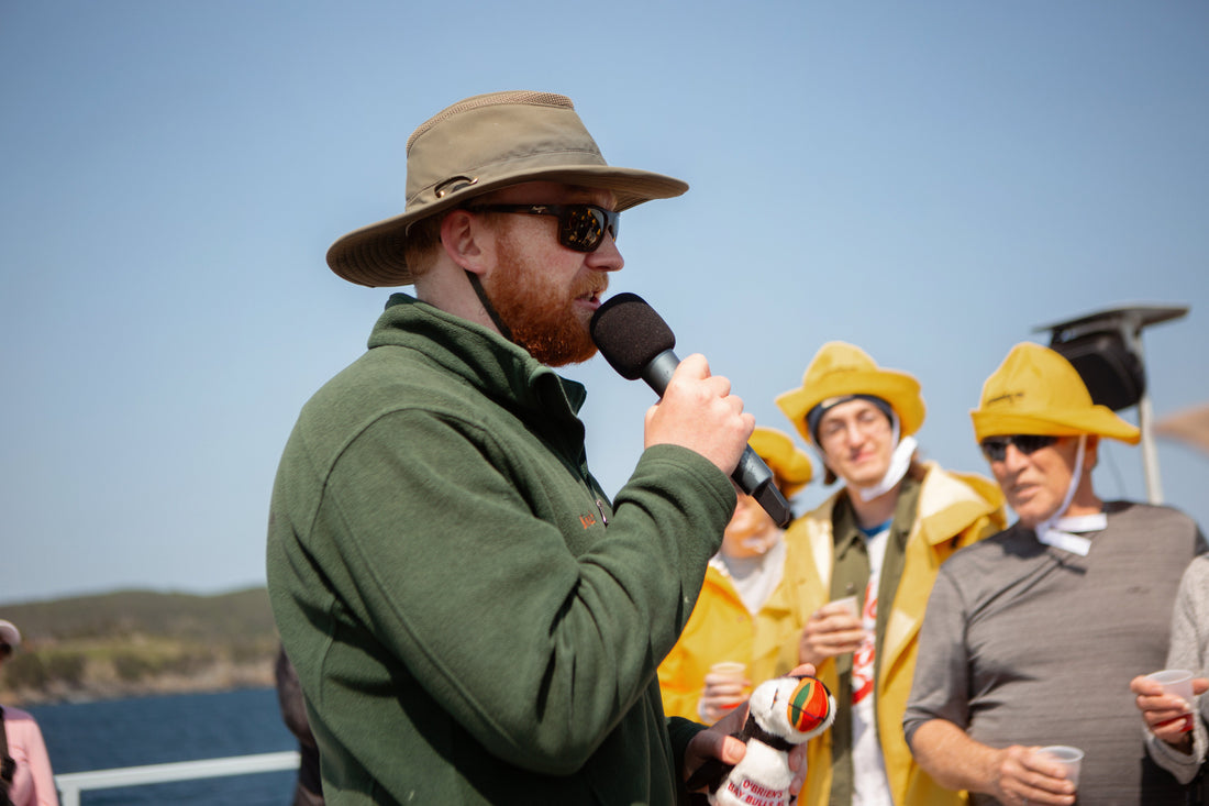 Best Bay Bulls Boat Tours 2025 | Whale Watching & Puffins