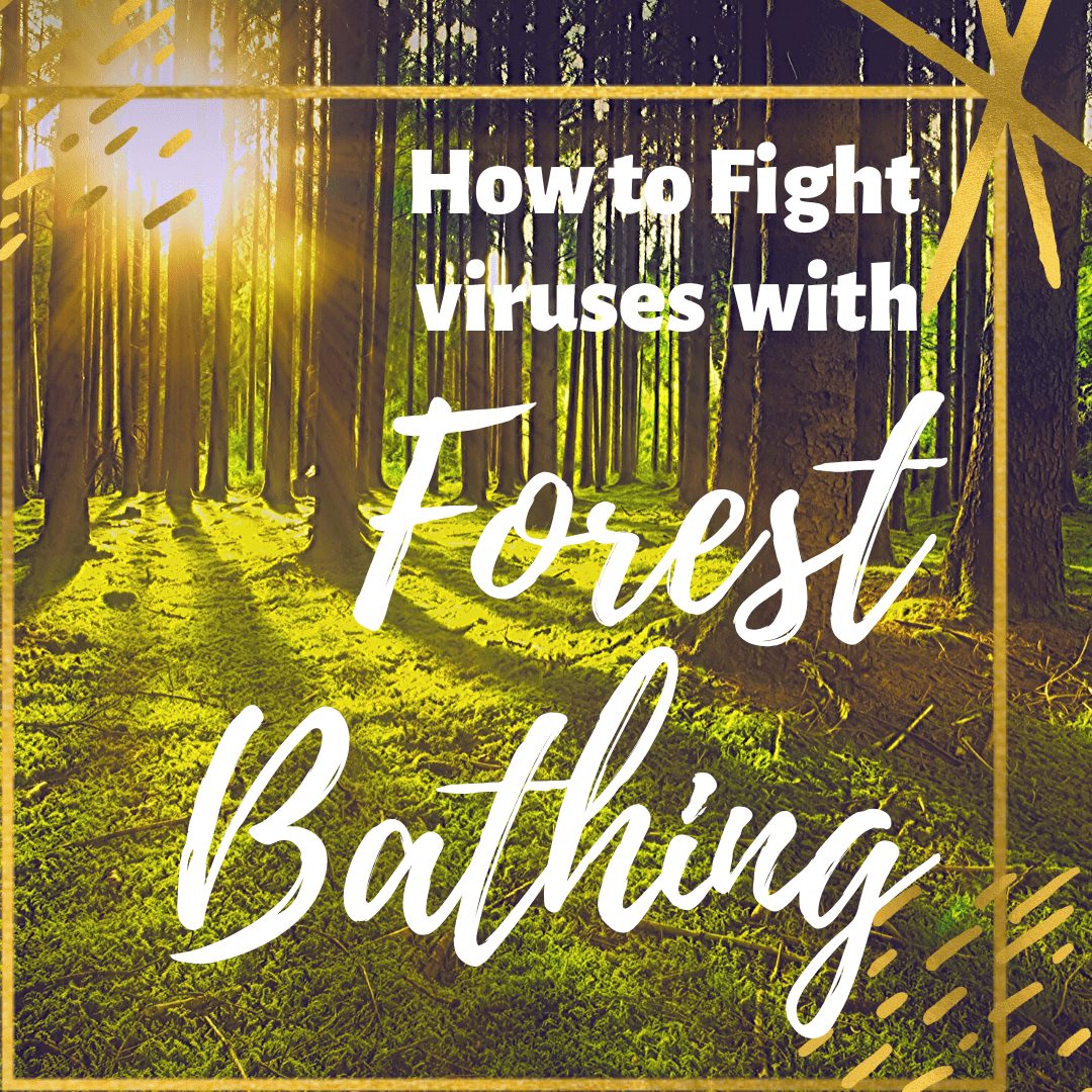 Forest Bathing and why it helps you fight viruses and cancers