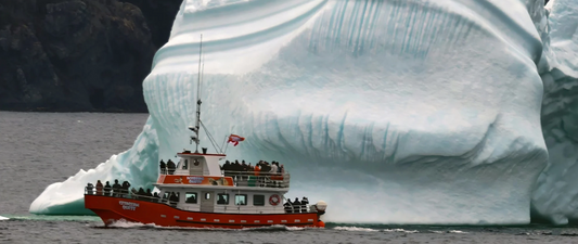Iceberg Season 2026 in Newfoundland, Biggest in Recent Memory