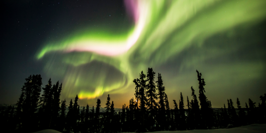 Northern Lights in Newfoundland: The Most Romantic Dark Sky Escape of 2026
