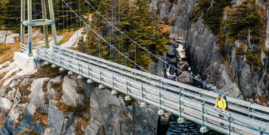 Secret East Coast Trail Picnic Spots With Whale Watching & Romance