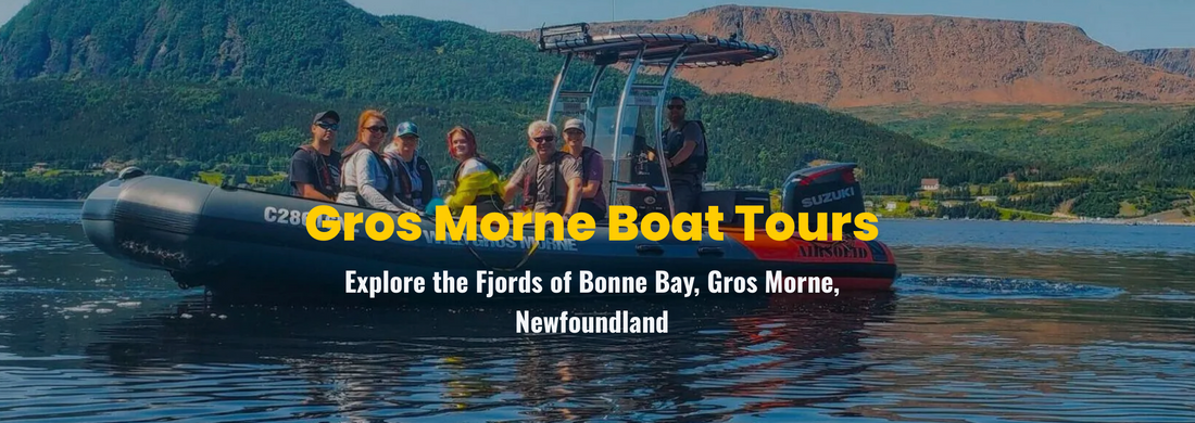 Top 11 Things to Do in Gros Morne National Park in 2025