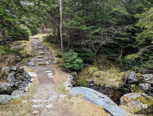 Tinker’s Point Path: Best East Coast Trail Hike