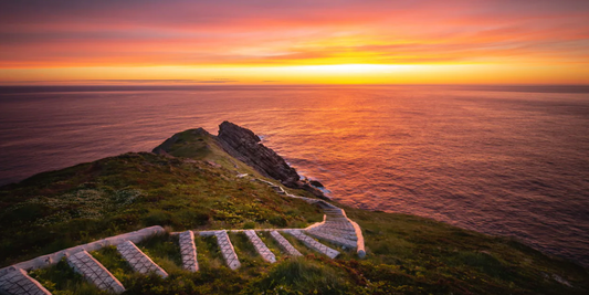 Top 3 Most Romantic East Coast Trail Hikes 2026: Whales, Picnics & First Kiss Spots