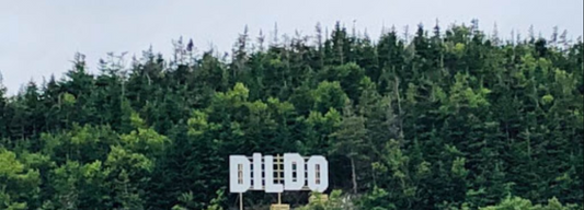 Captain Dildo and the town of Dildo Newfoundland top 10 Questions Answered