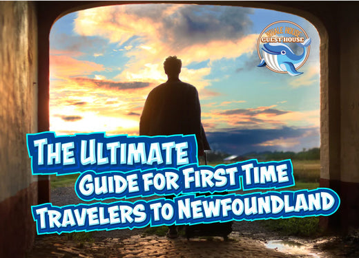 The Annual 2024 Ultimate Guide for First Time Travellers to Newfoundland