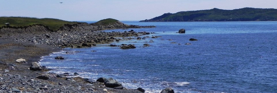 Witless Bay Marine Ecological Reserve