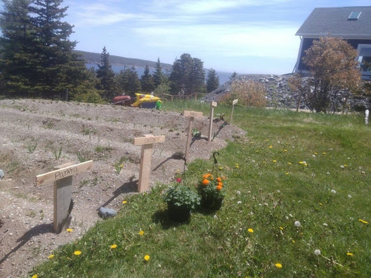 Newfoundland Summer Gardening Adventures