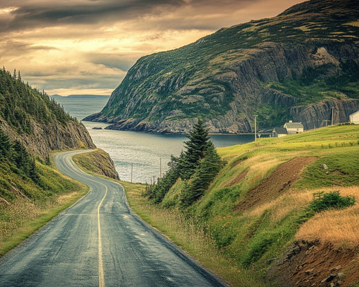 Exploring the Southern Shore near St. John’s, the best 30 min drive from Town