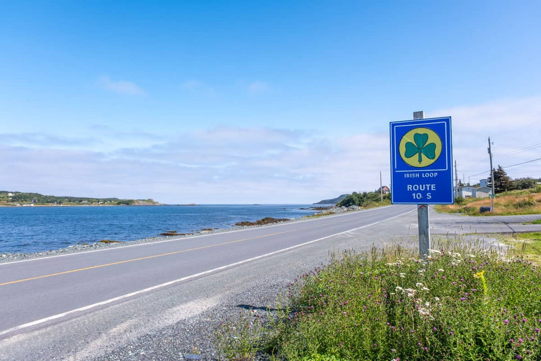 St. John’s vs. The Irish Loop: Why You Should Stay in Mobile for the Best of Both Worlds