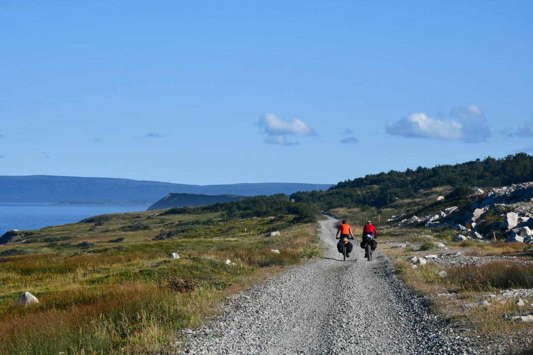 Art and Gardening on Newfoundland's Southern Shore