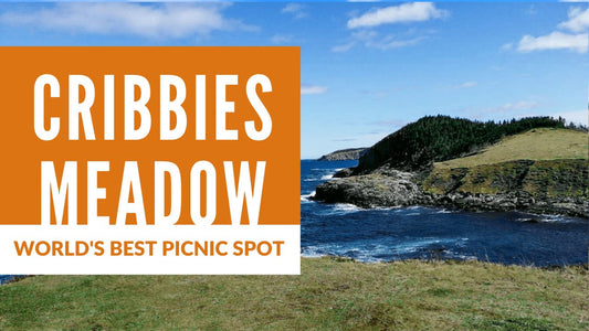 World's Best Picnic Spot: Cribbies Meadow